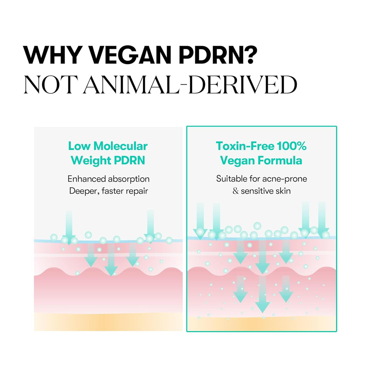 VT PDRN Capsule Cream 100 [50ml]