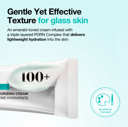 Anua PDRN Hyaluronic Acid 100 Moisturizing Cream [60ml]