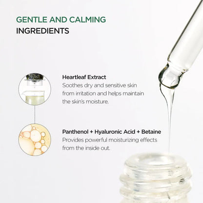Anua Heartleaf 80% Soothing Ampoule [30ml]