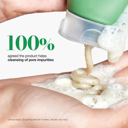 Anua Quercetinol Cleansing Foam — alternate view